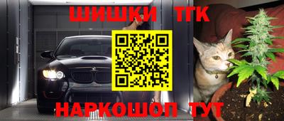 твердый Камышлов