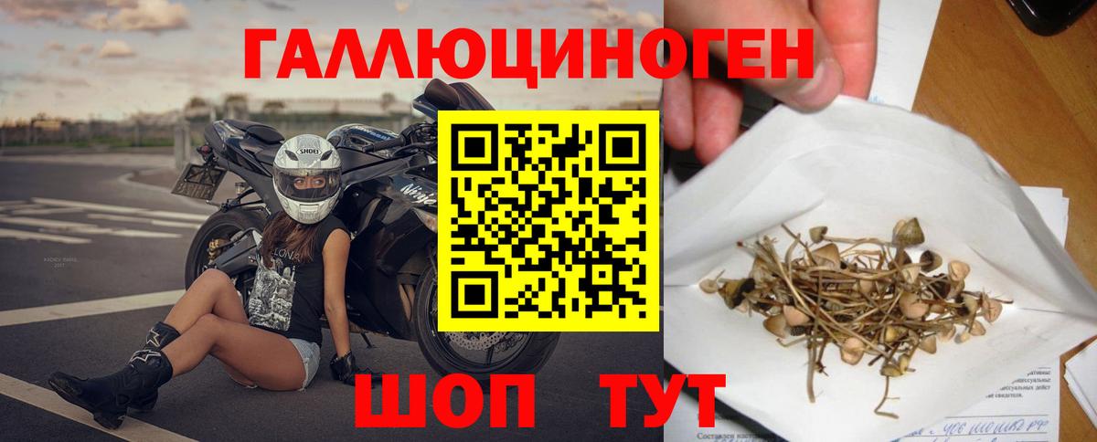 Галлюциногенные грибы мухоморы  Галлюциногенные грибы MAGIC MUSHROOMS  Вход с VPN  Кимовск 